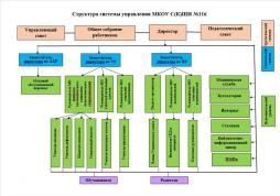 Структура системы управления МБОУ С(К)ШИ №116